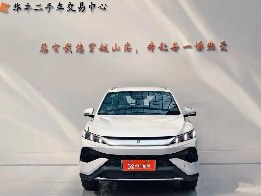 BYD Pro New Energy — фото 4