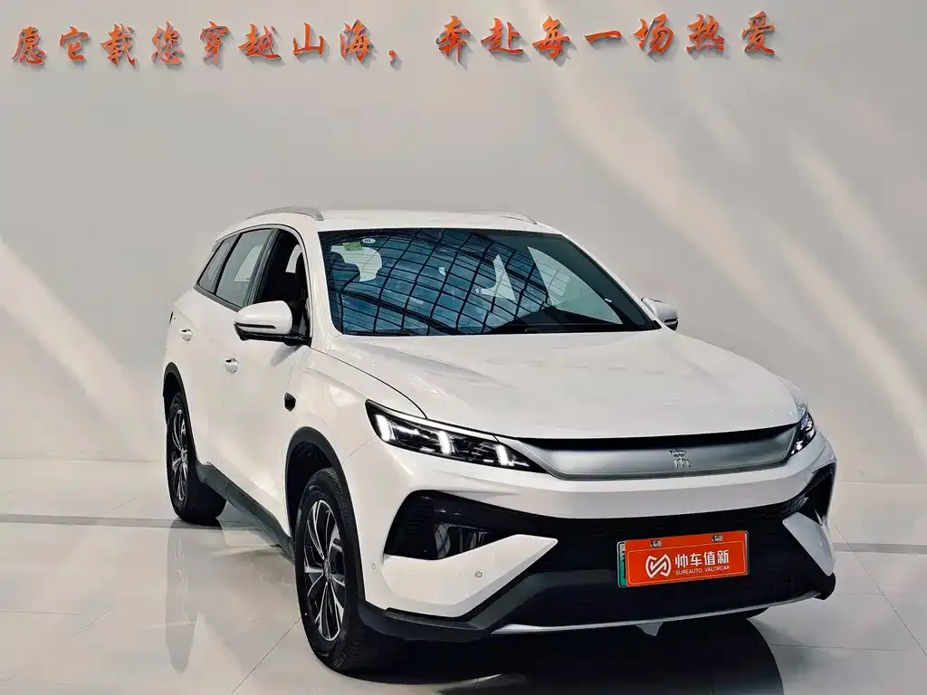 BYD Pro New Energy — фото 9