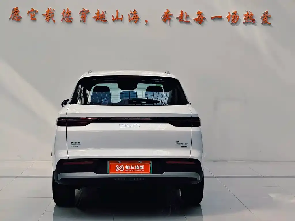 BYD Pro New Energy — фото 3