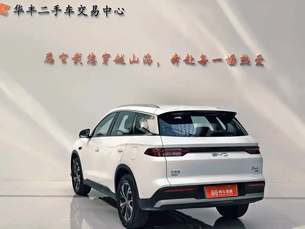 BYD Pro New Energy — фото 7