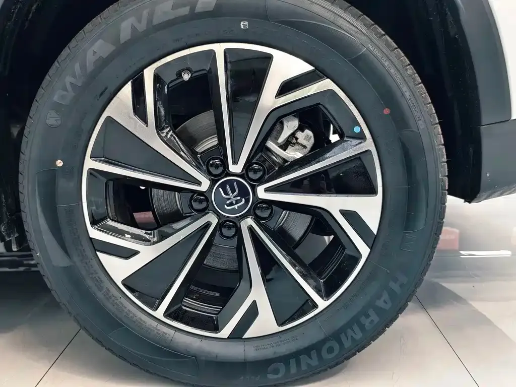 BYD Pro New Energy — фото 10