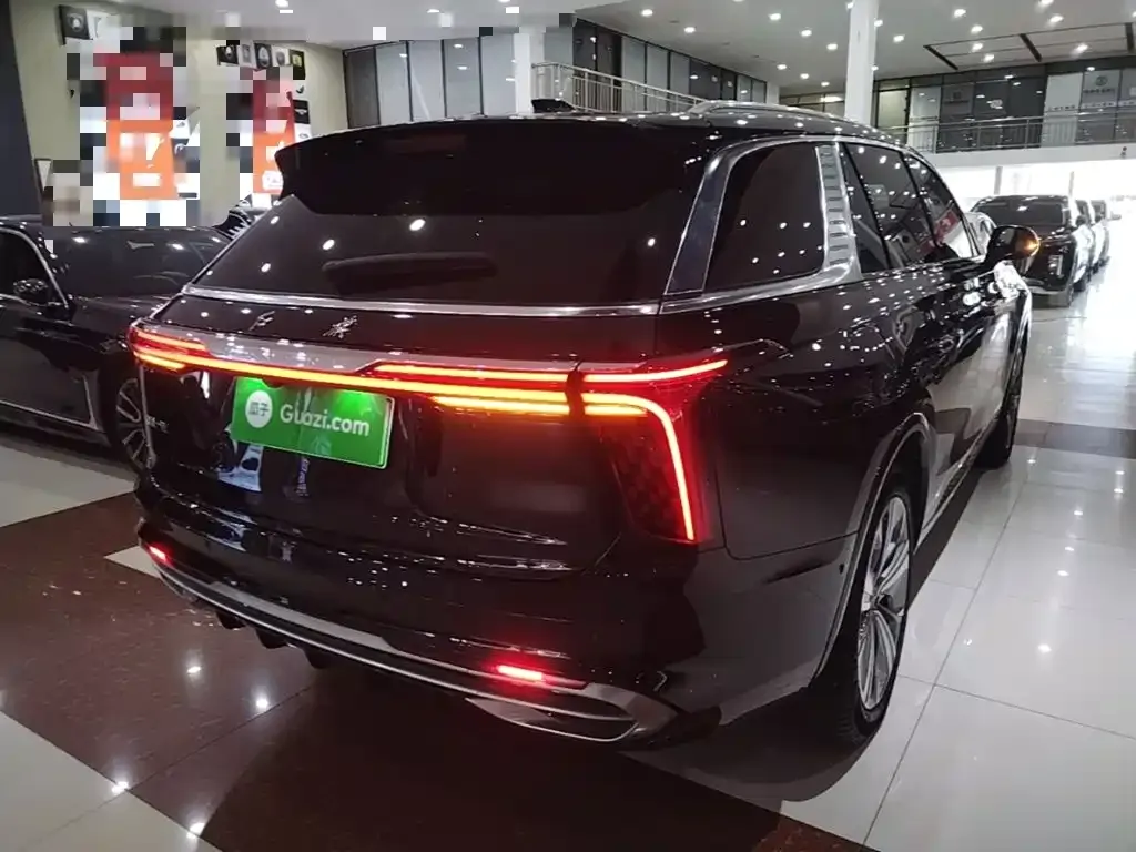 Hongqi E-HS9 — фото 9