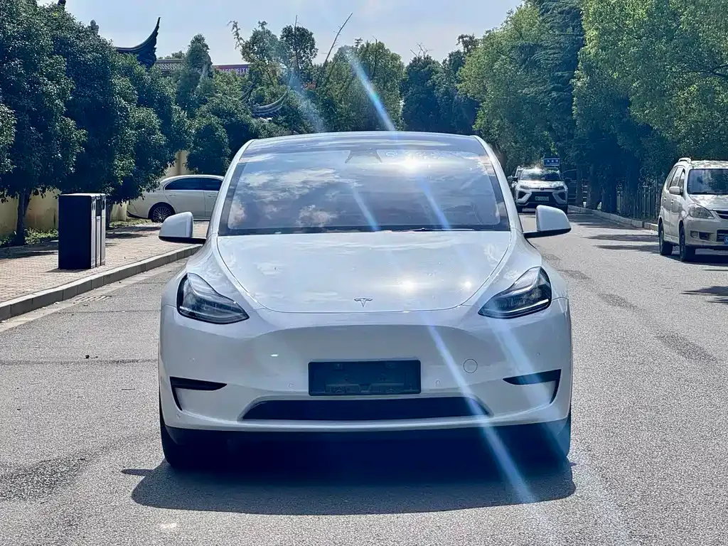 Tesla Model Y — фото 1