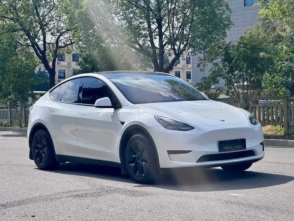 Tesla Model Y — фото 8