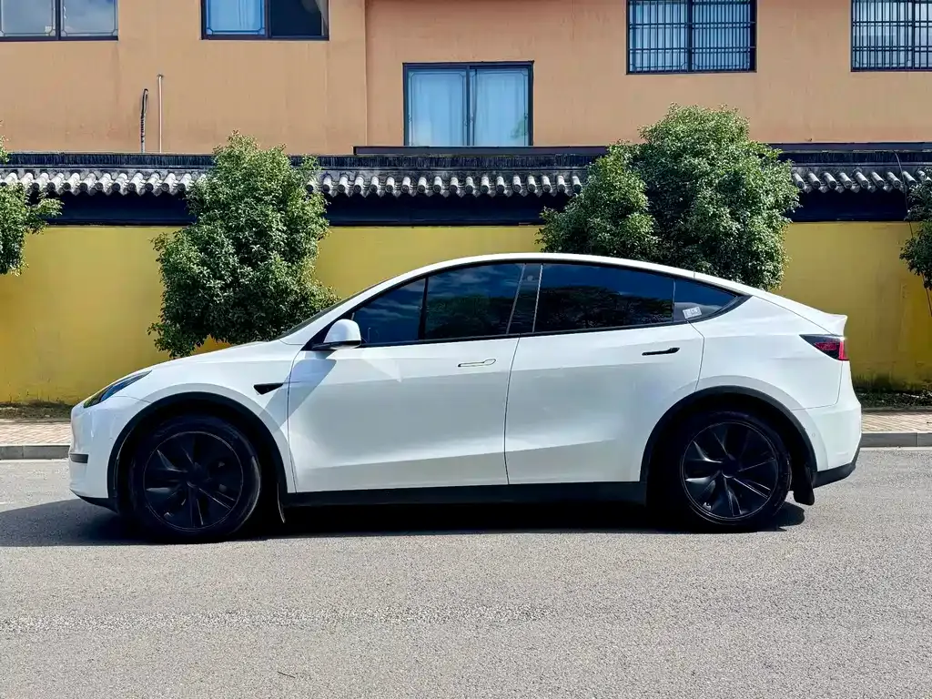 Tesla Model Y — фото 10