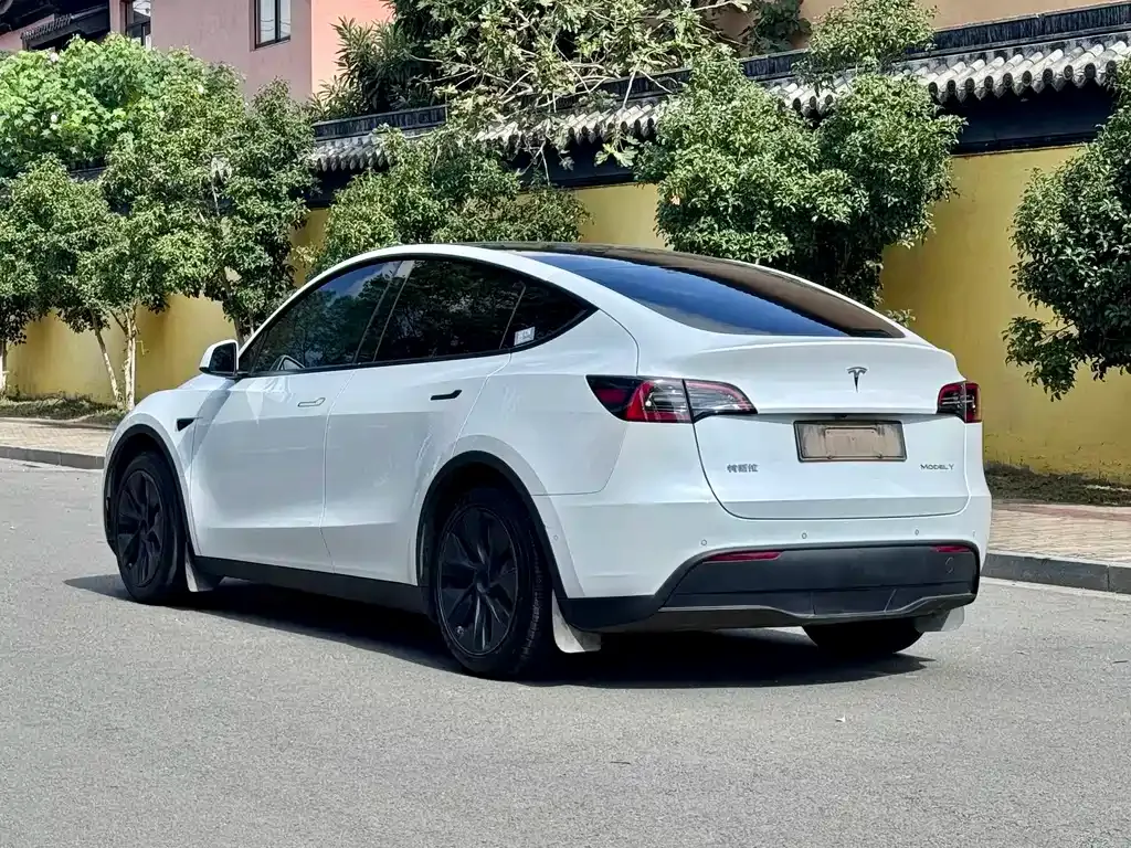 Tesla Model Y — фото 9