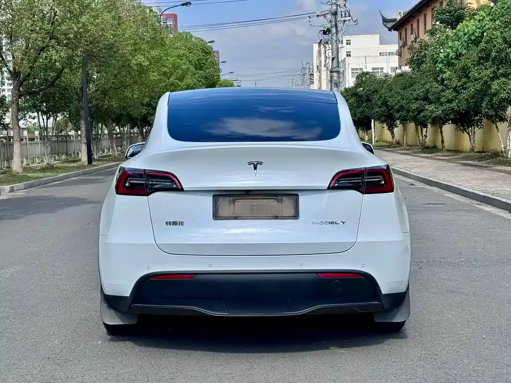 Tesla Model Y — фото 5