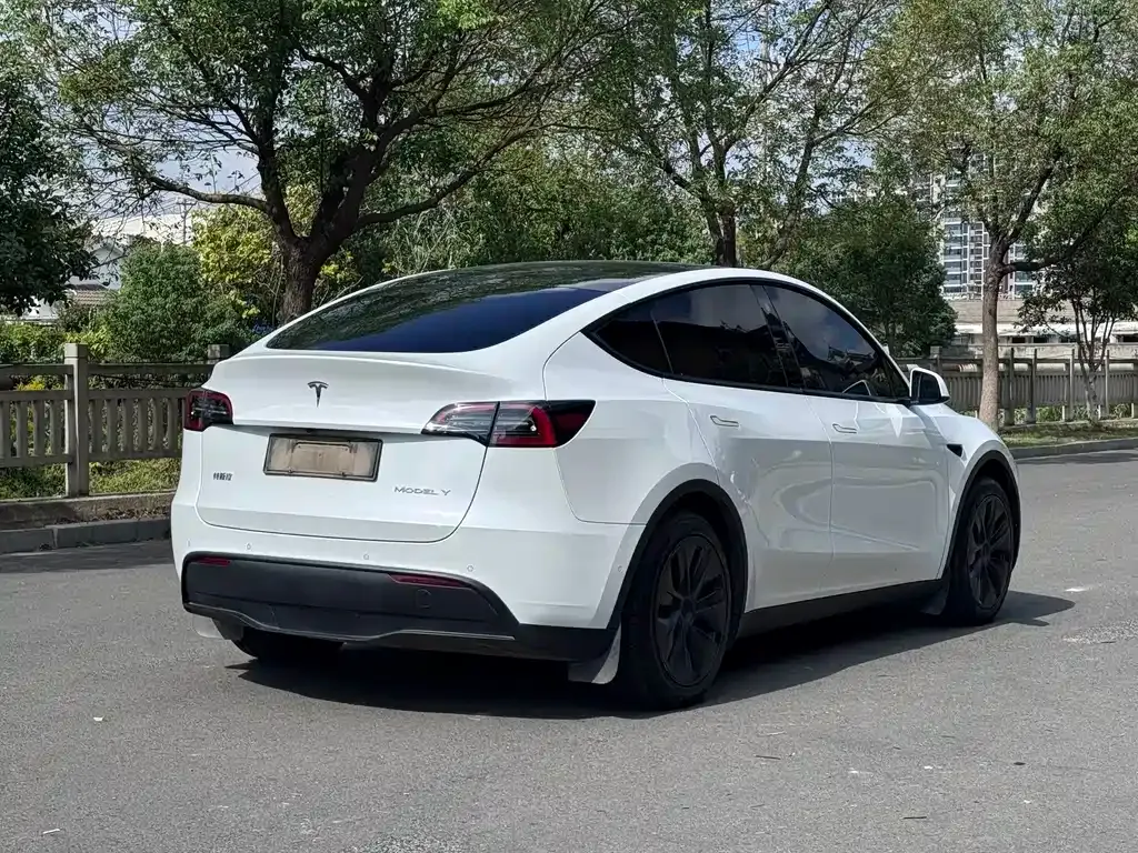 Tesla Model Y — фото 6