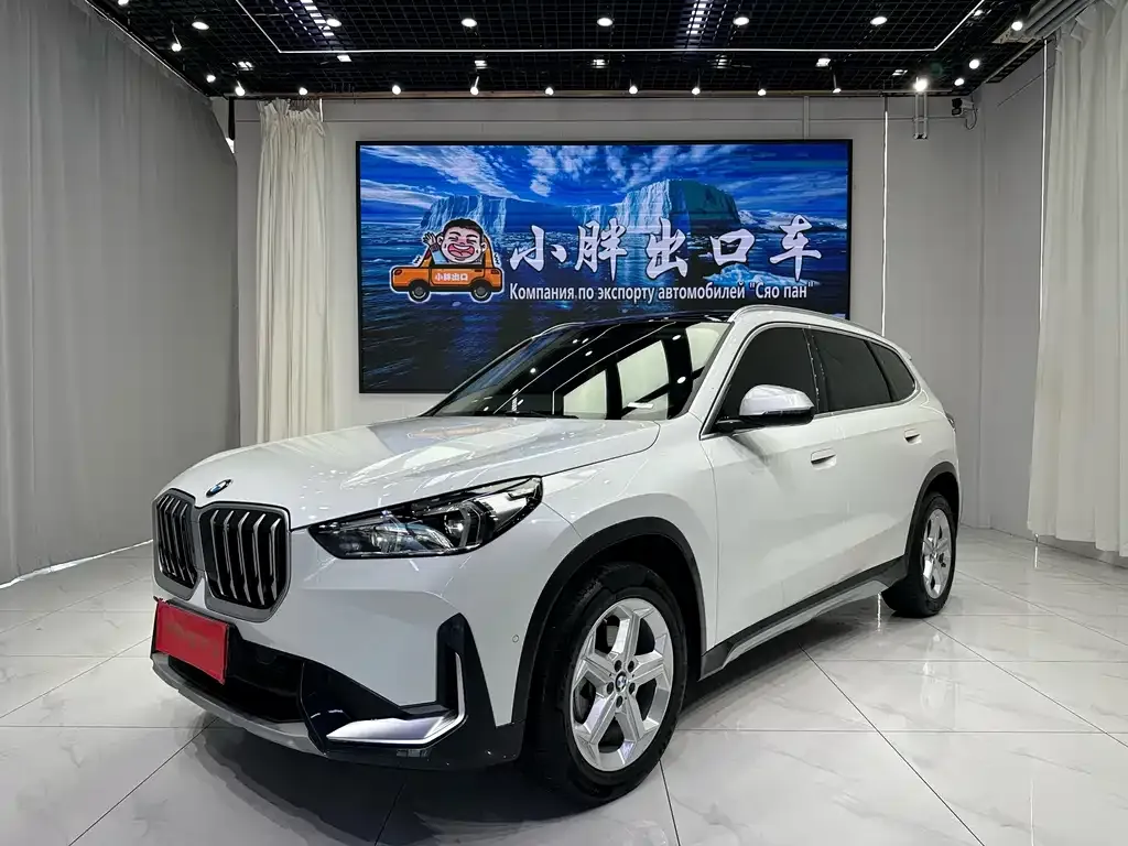 BMW X1 — фото 1