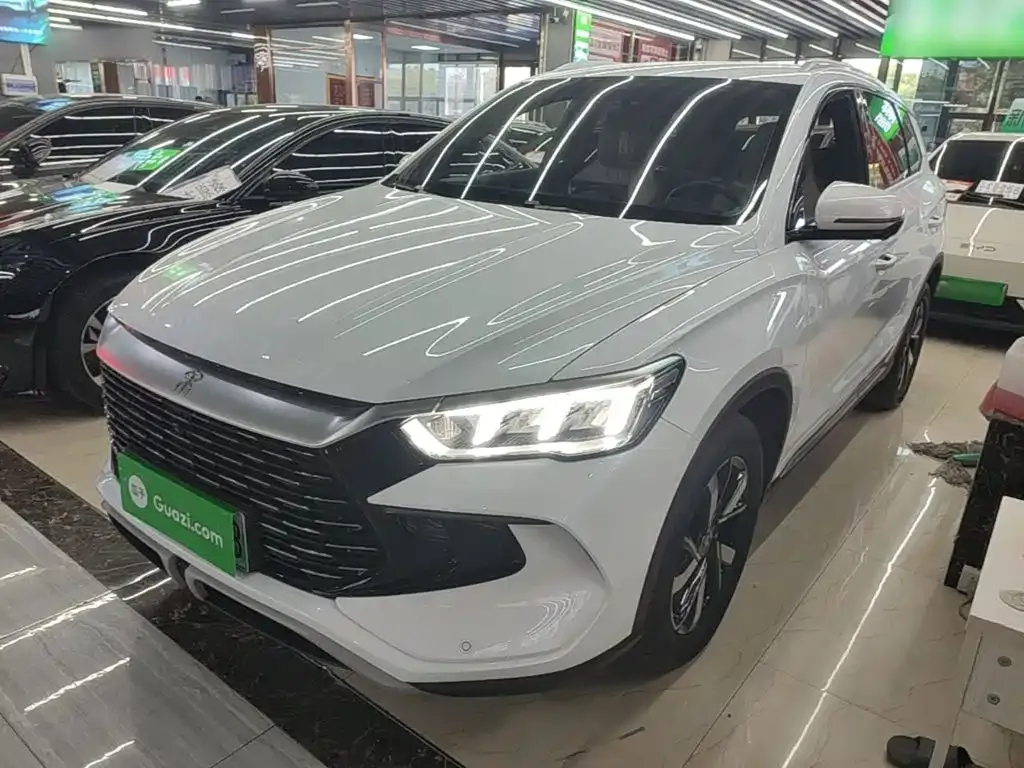 BYD Pro New Energy — фото 2