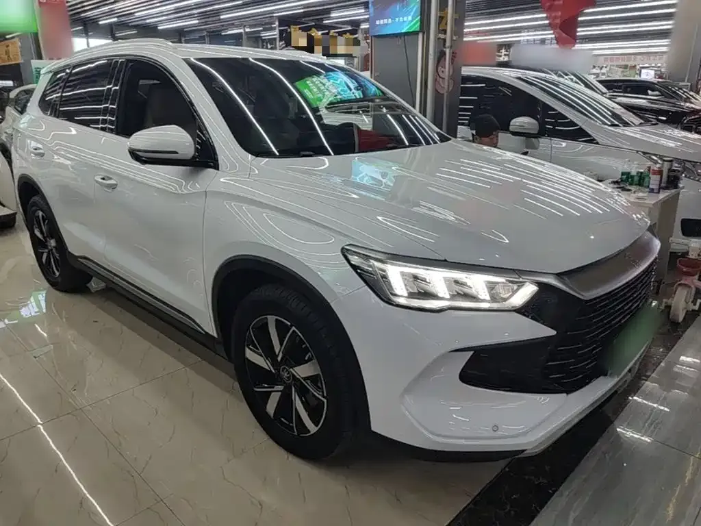 BYD Pro New Energy — фото 10