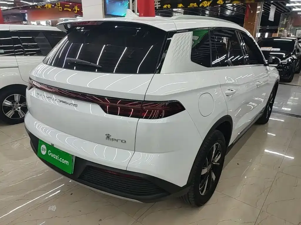 BYD Pro New Energy — фото 8