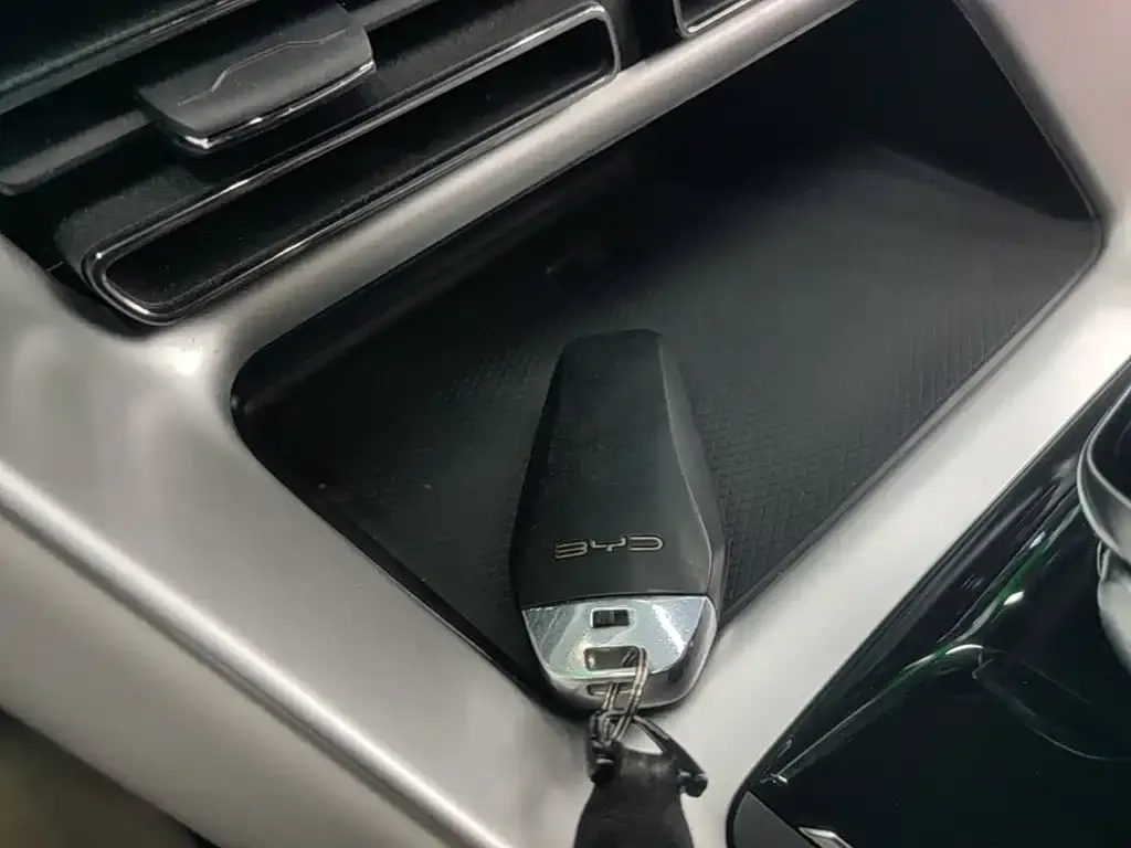 BYD Pro New Energy — фото 6