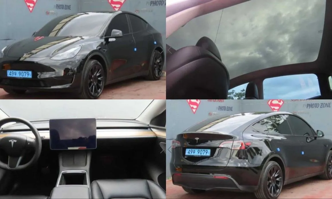 Tesla Model Y — фото 1