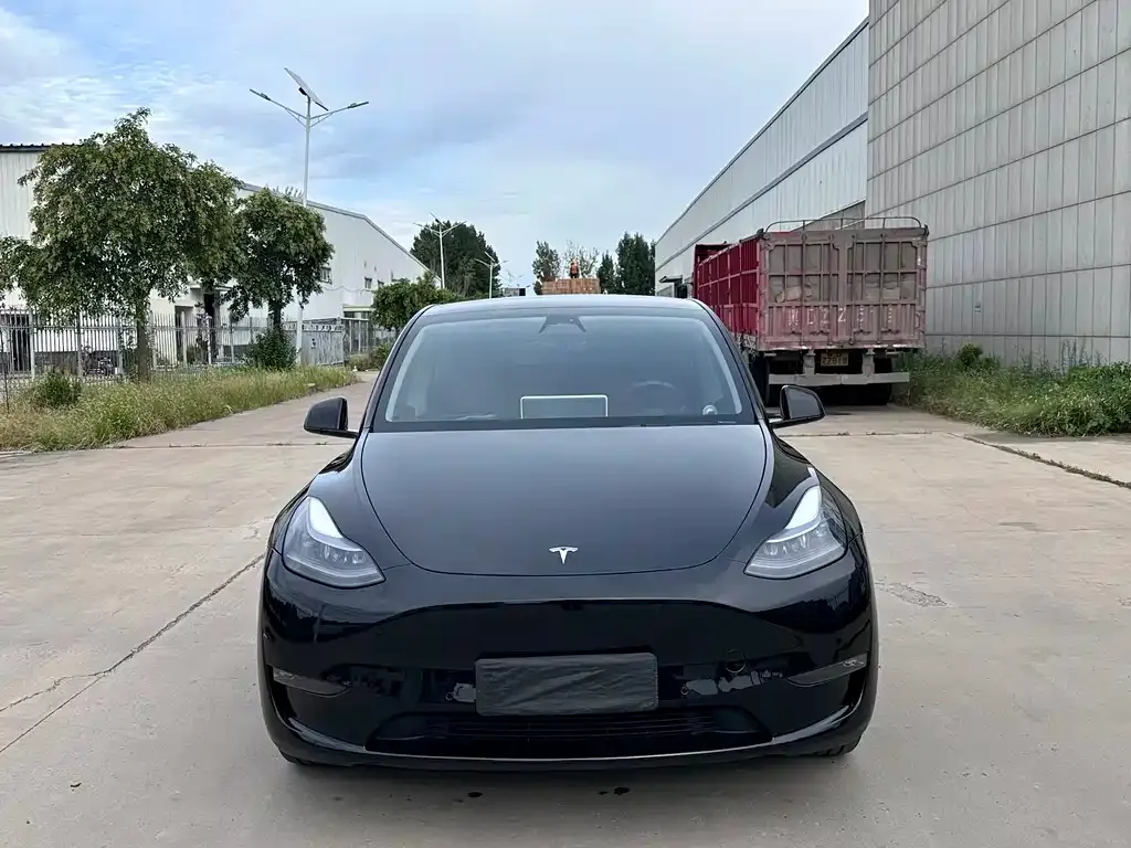 Tesla Model Y — фото 2