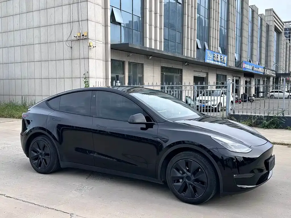 Tesla Model Y — фото 6