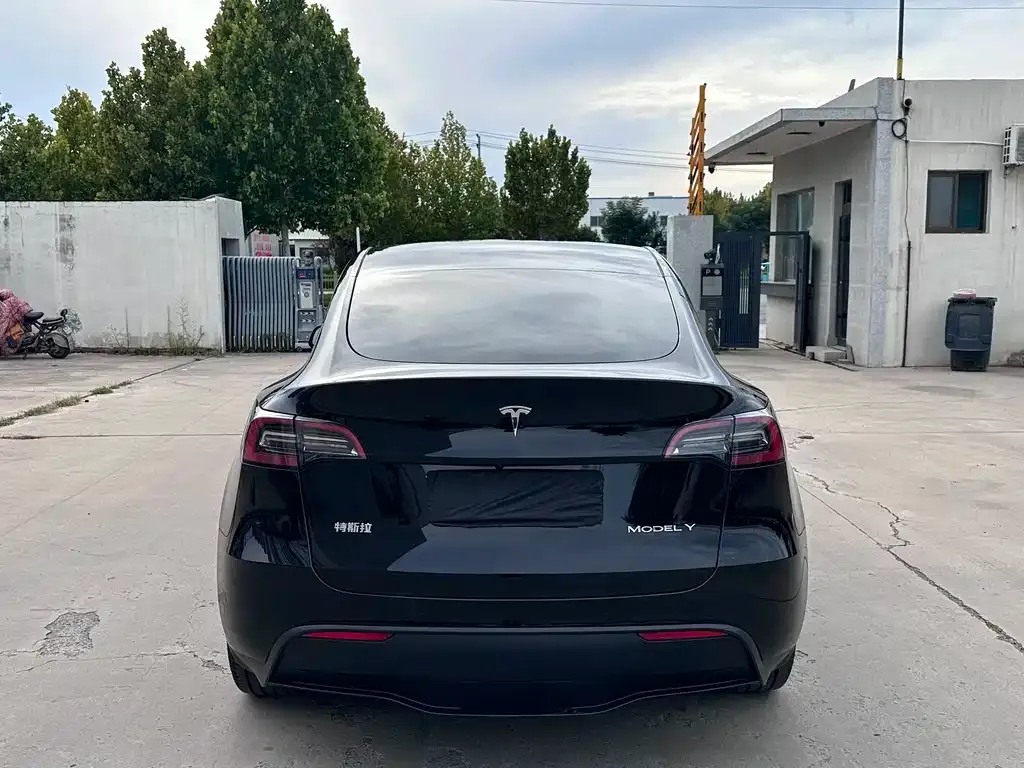 Tesla Model Y — фото 8