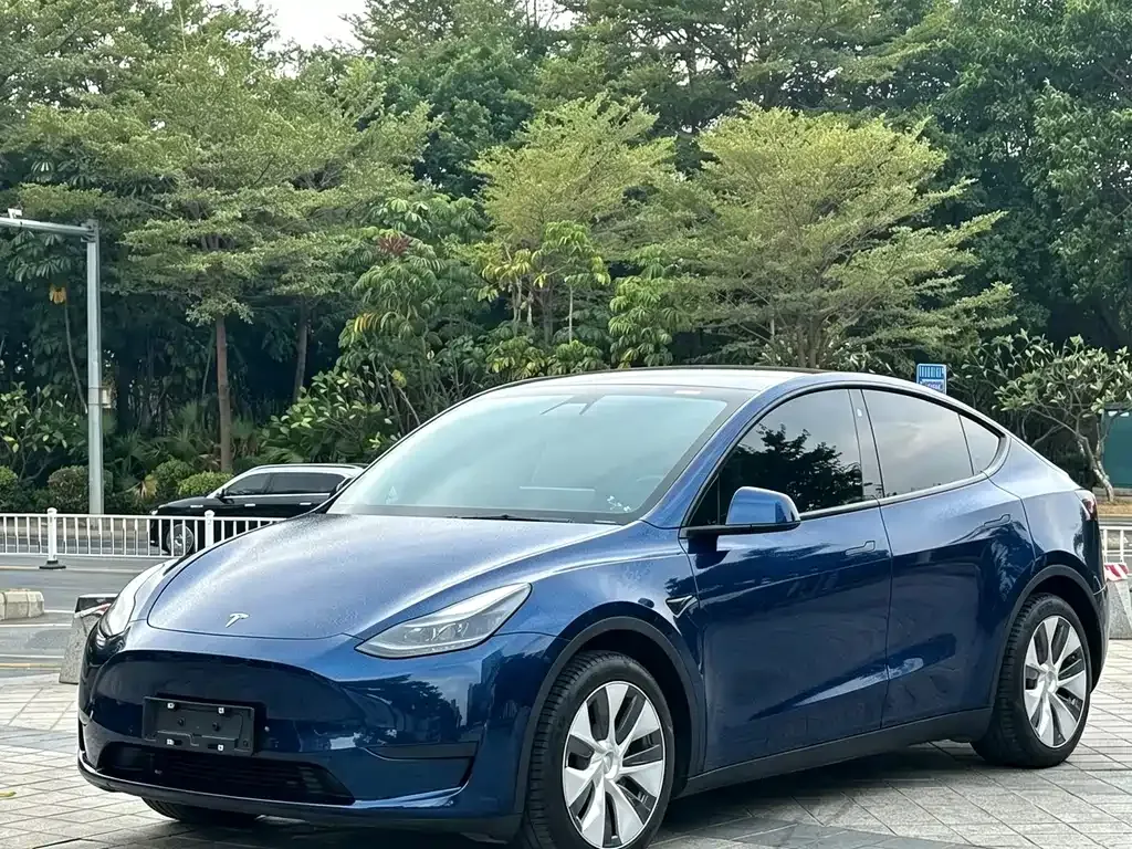 Tesla Model Y — фото 1