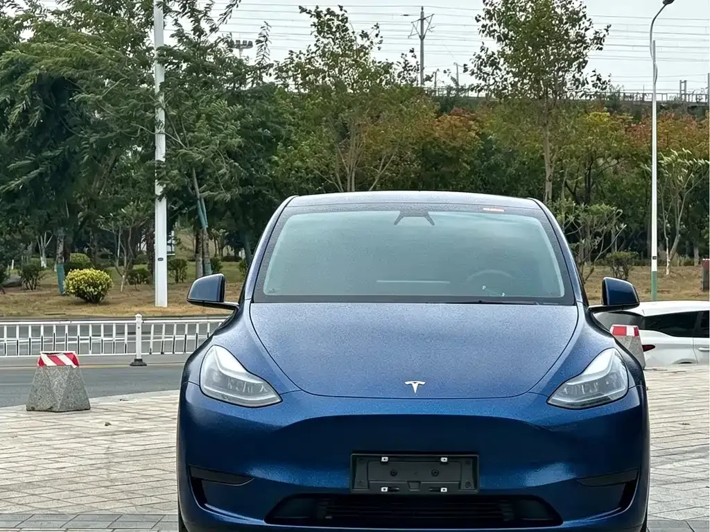 Tesla Model Y — фото 8
