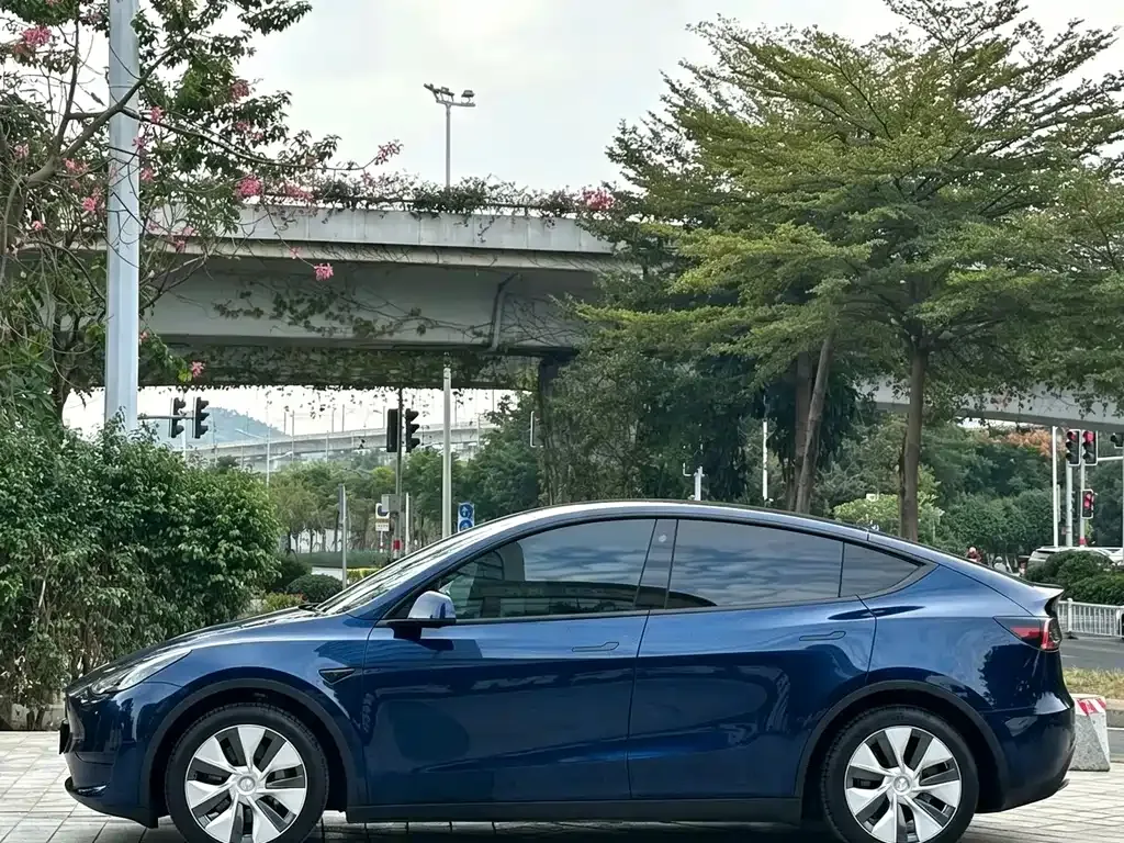 Tesla Model Y — фото 7