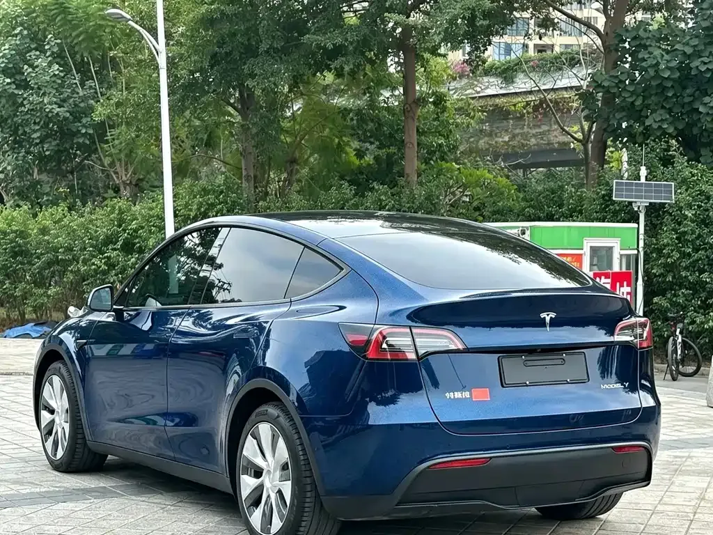 Tesla Model Y — фото 9