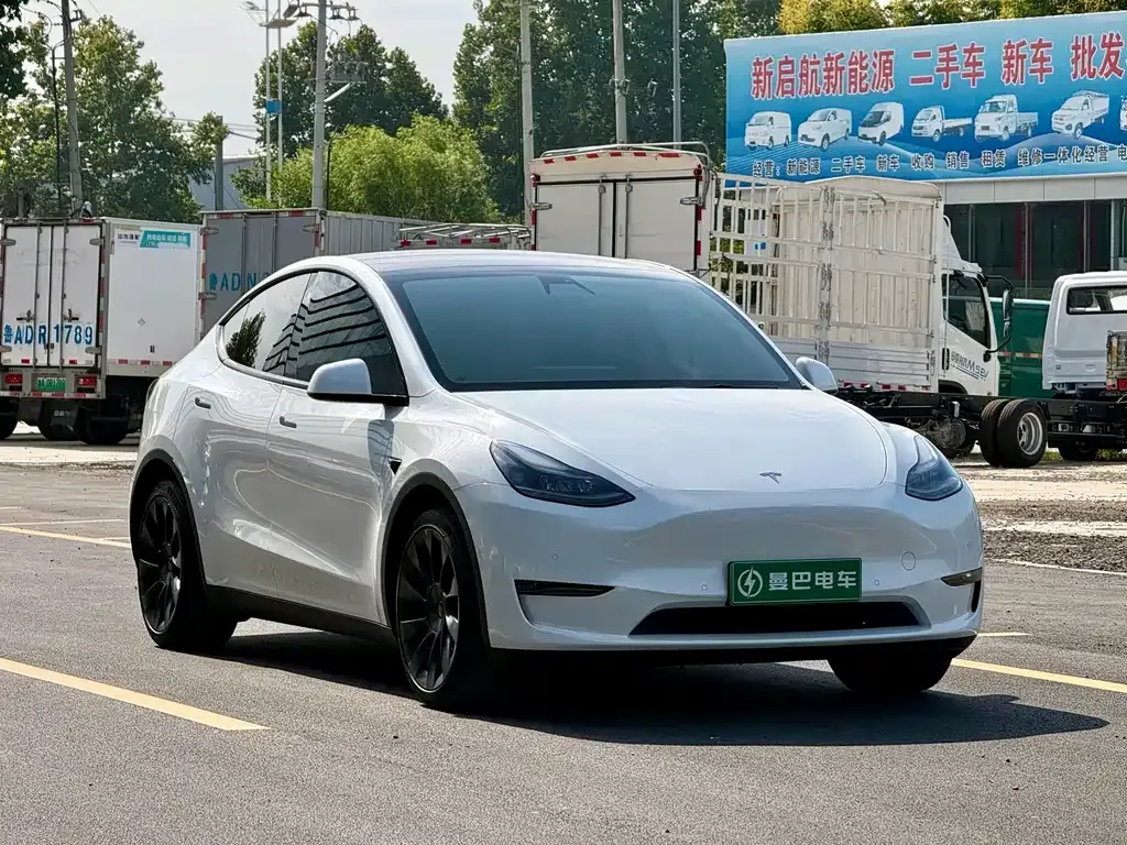 Tesla Model Y — фото 9