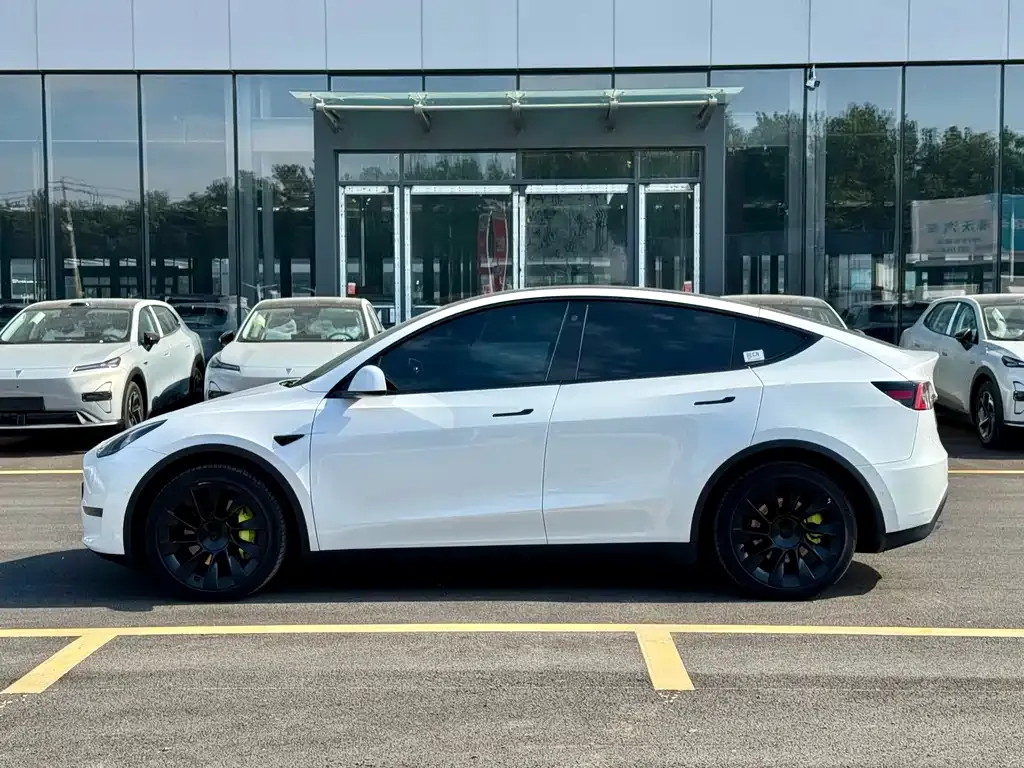 Tesla Model Y — фото 7