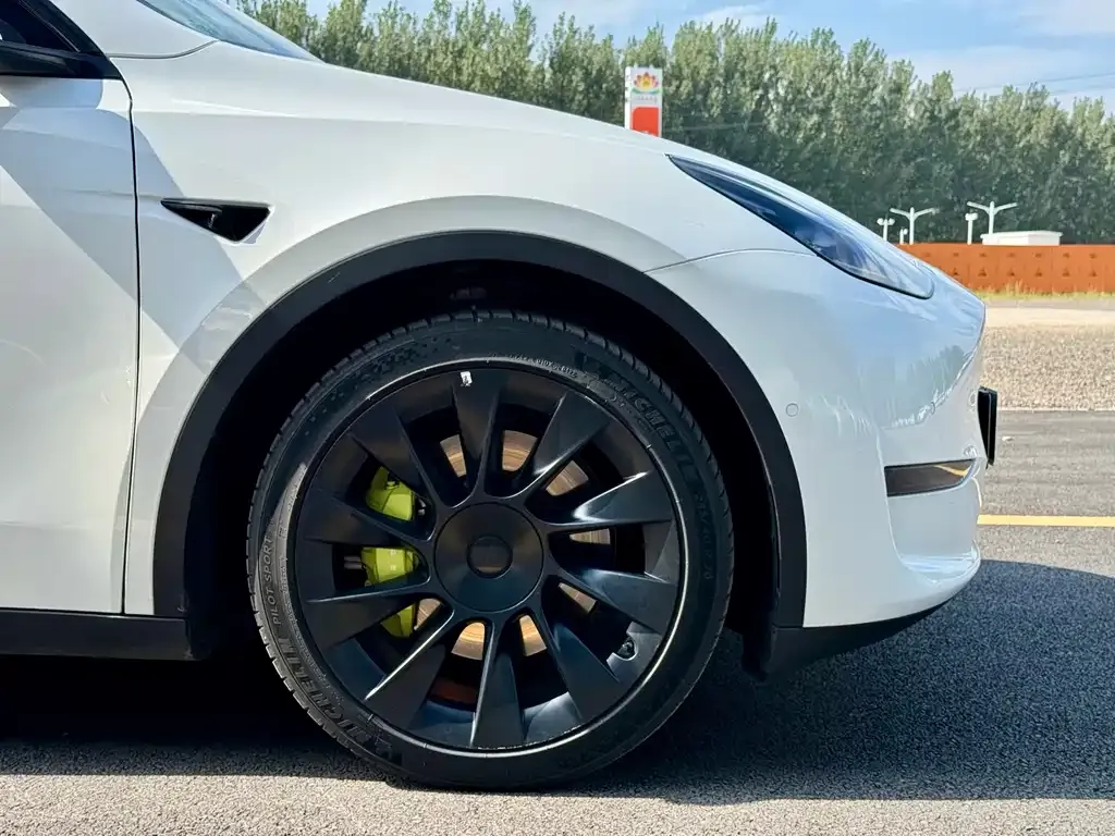 Tesla Model Y — фото 2