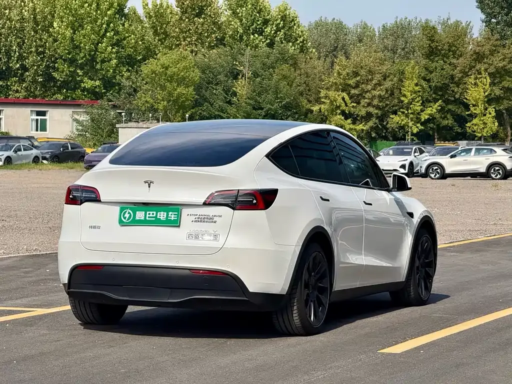 Tesla Model Y — фото 10