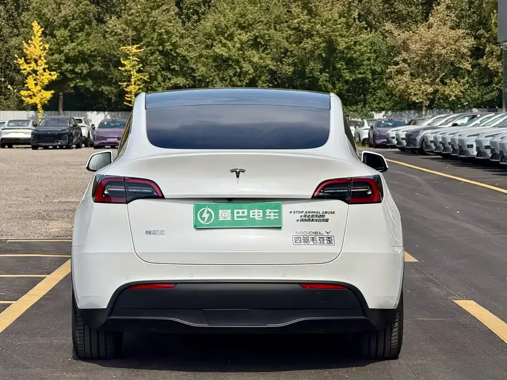 Tesla Model Y — фото 4