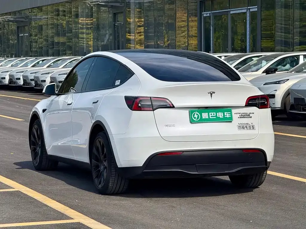 Tesla Model Y — фото 3
