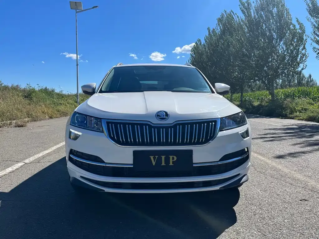 Skoda Karoq — фото 8