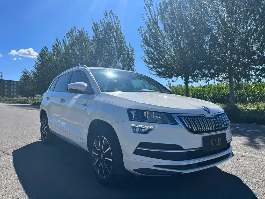Skoda Karoq — фото 10