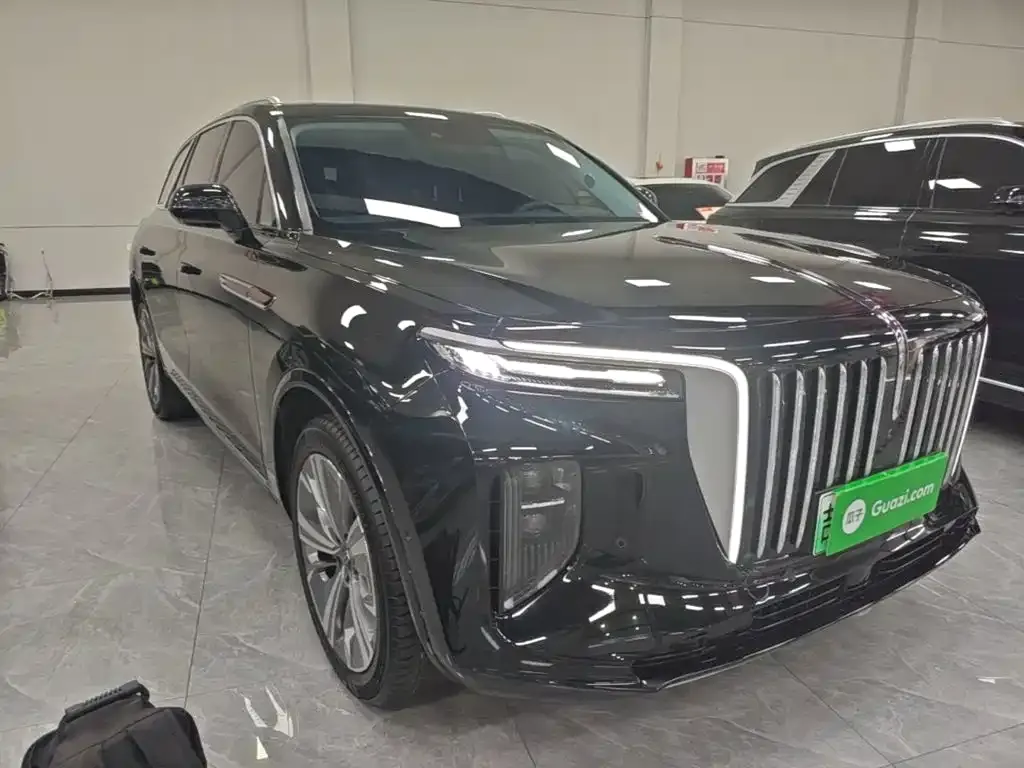 Hongqi E-HS9 — фото 10
