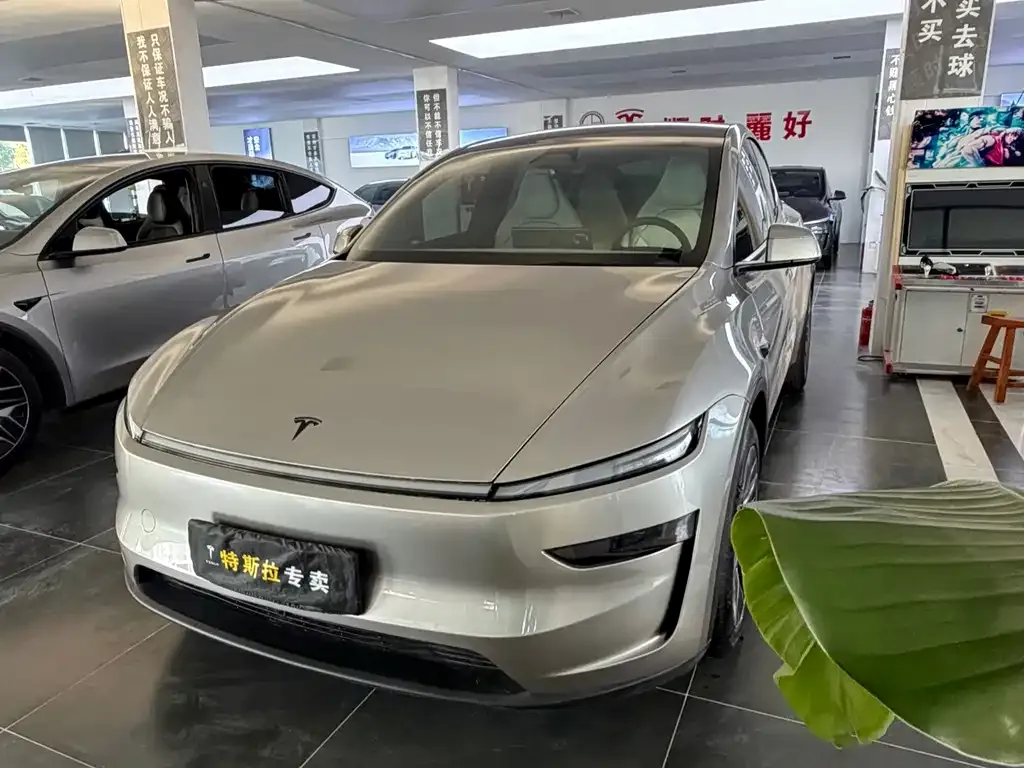 Tesla Model Y L — фото 1