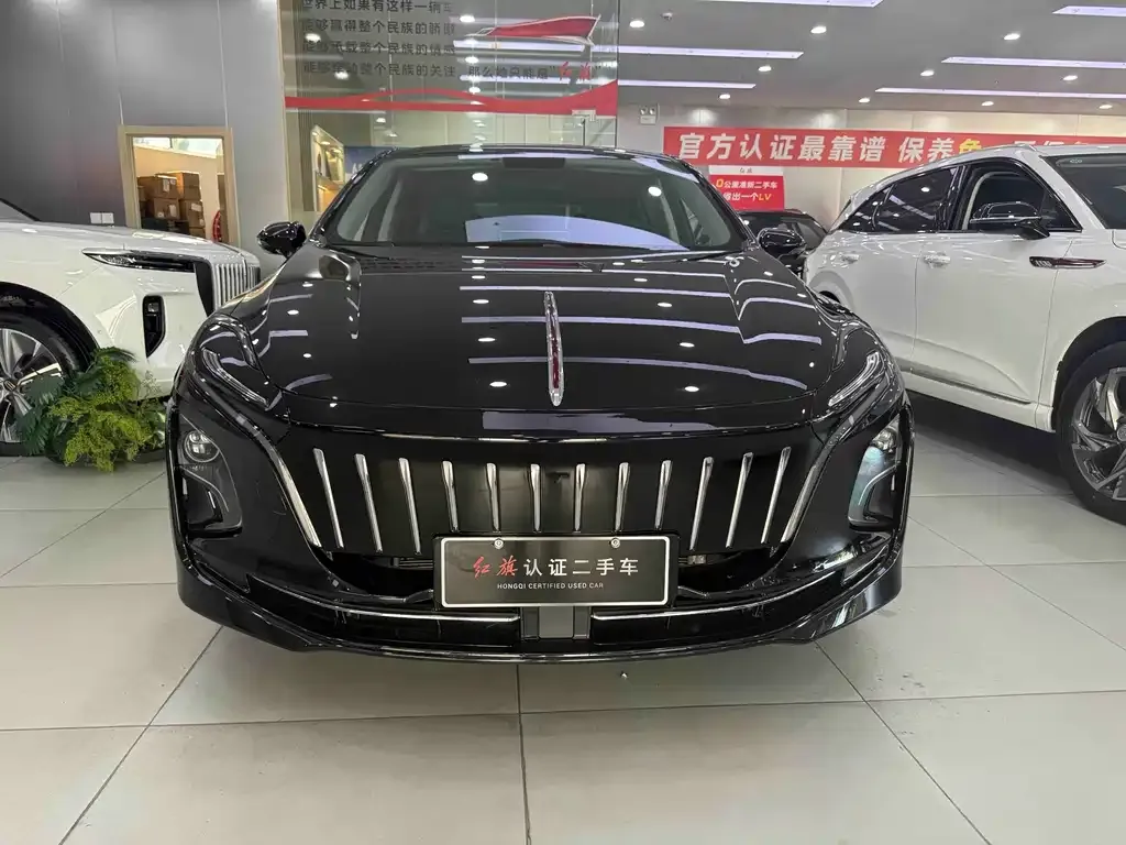 Hongqi E-QM5 — фото 10