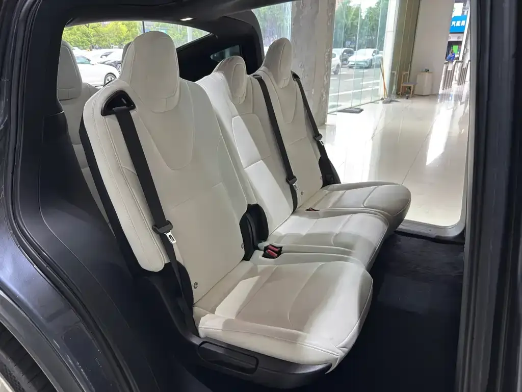 Tesla Model X — фото 5