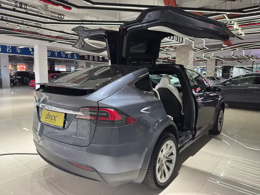 Tesla Model X — фото 4