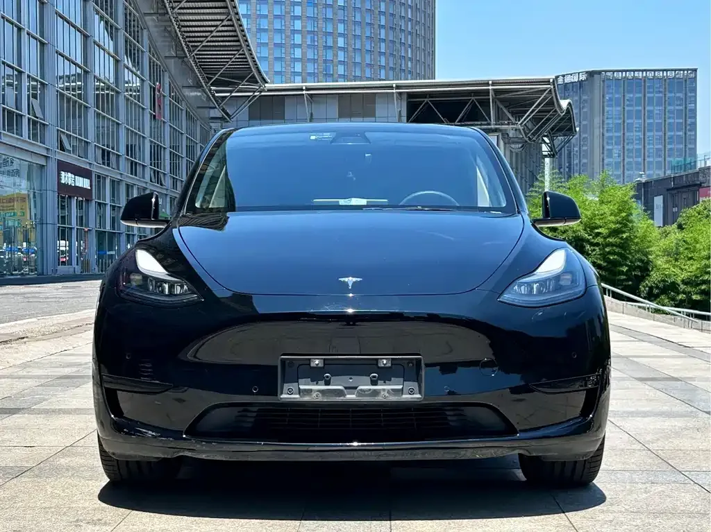 Tesla Model Y — фото 4