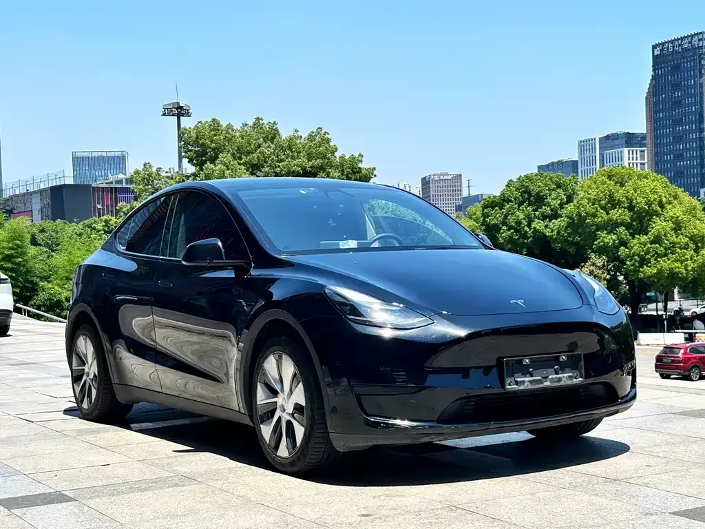 Tesla Model Y — фото 9