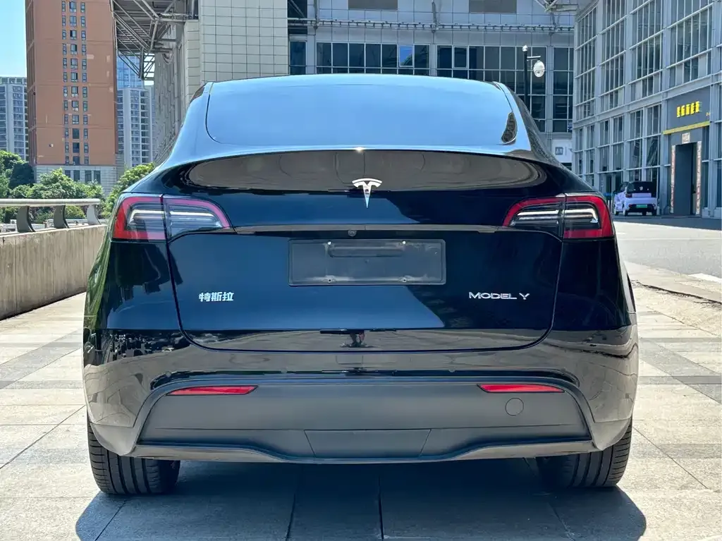 Tesla Model Y — фото 6