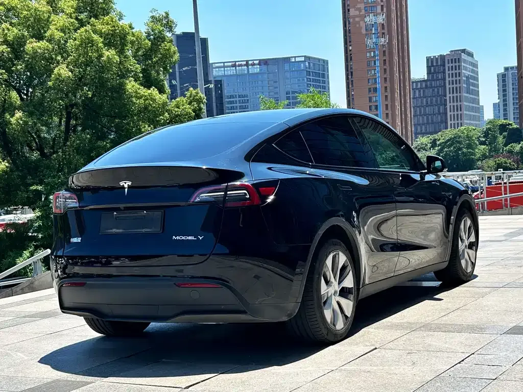 Tesla Model Y — фото 8