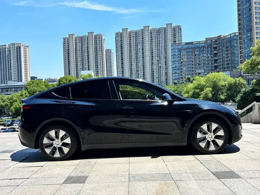 Tesla Model Y — фото 10