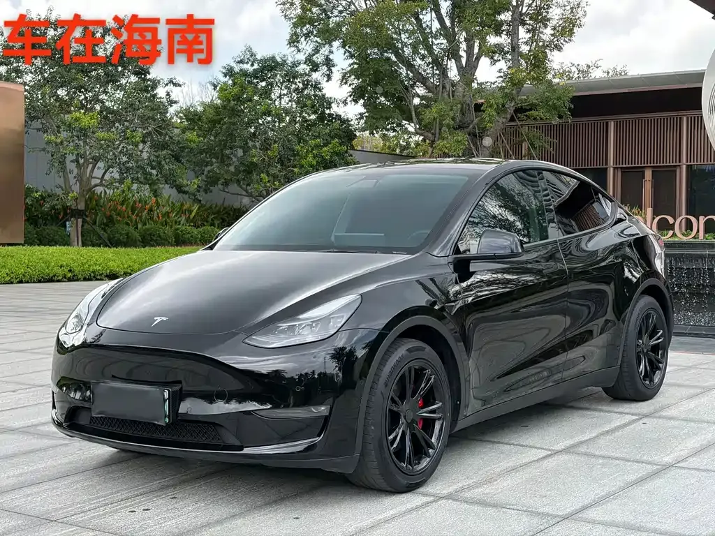 Tesla Model Y — фото 1