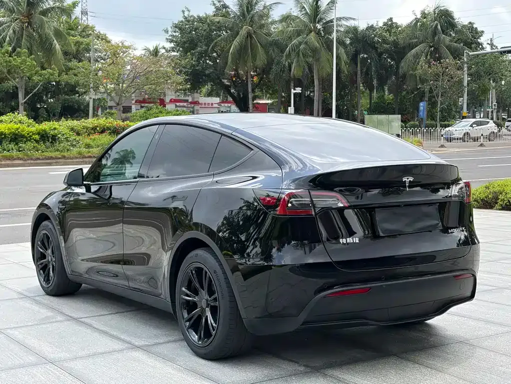 Tesla Model Y — фото 10