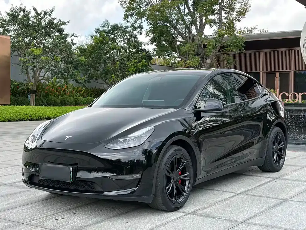 Tesla Model Y — фото 6