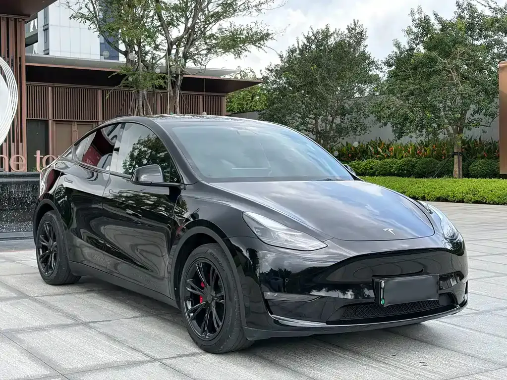 Tesla Model Y — фото 5