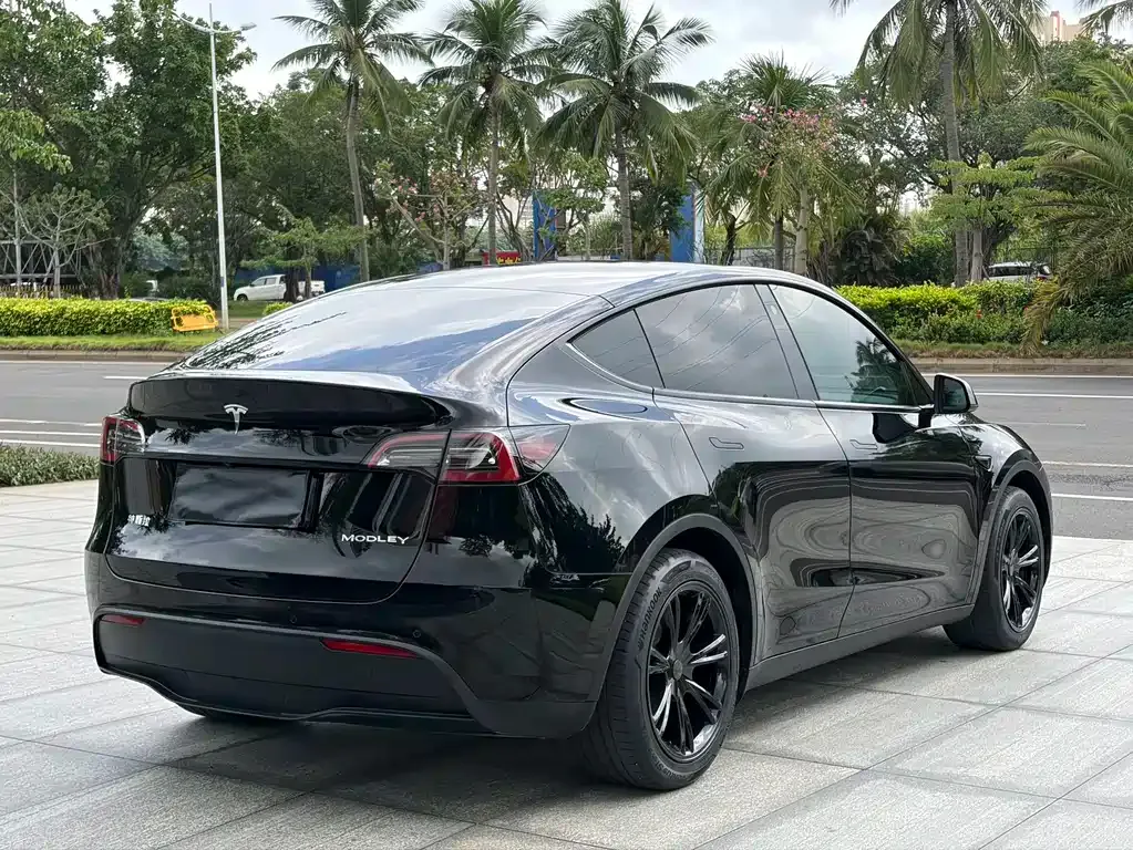 Tesla Model Y — фото 8