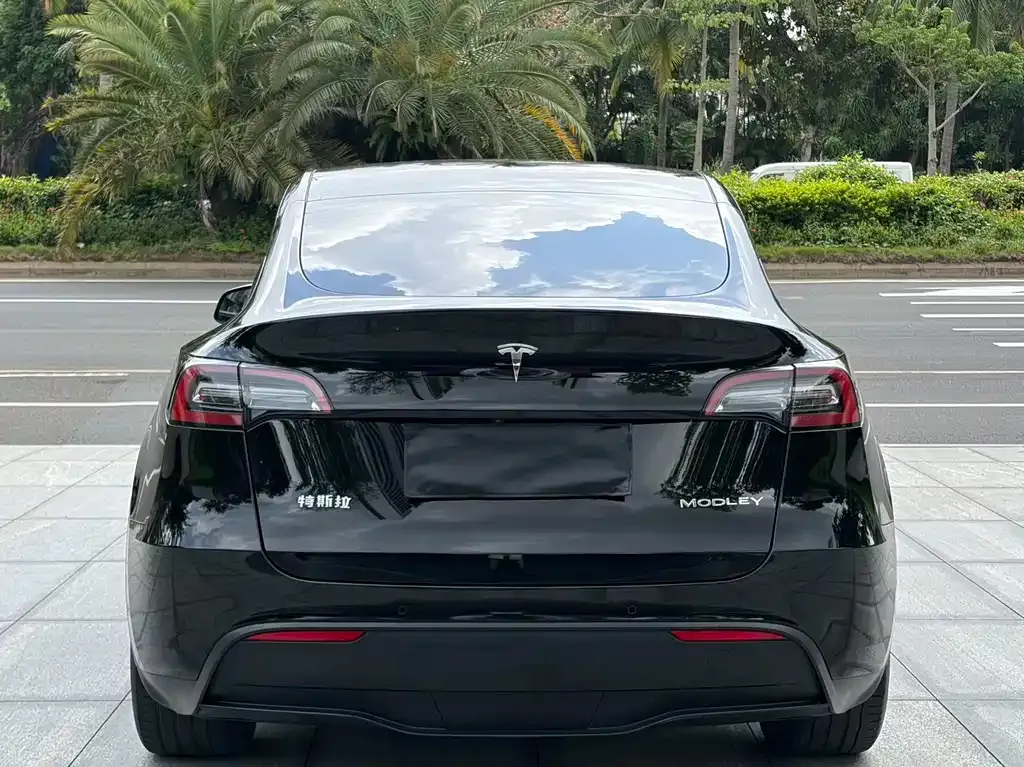 Tesla Model Y — фото 7
