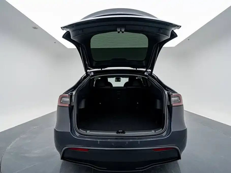 Tesla Model Y — фото 5